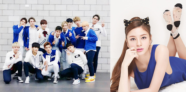 Per i netizen Shannon è insensibile, omofoba e razzista dopo commenti anche verso i Seventeen